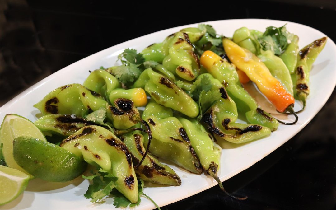 Hot Honey and Sea Salt Blistered Shishito Peppers