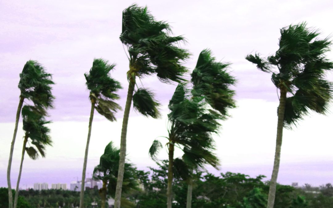 Trading Snow for Sunshine… or So I Thought