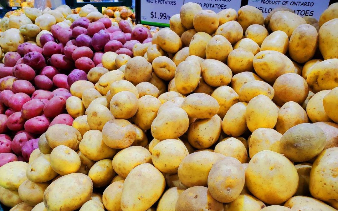 100 Potato Recipes and Still Going Strong for St. Paddy’s Day…