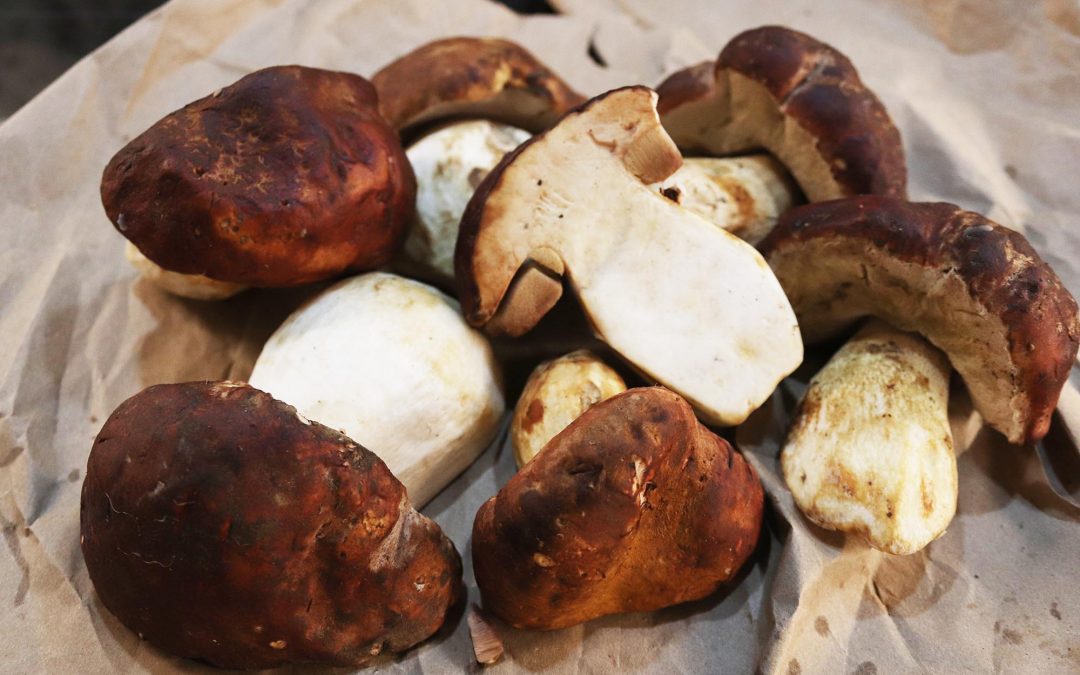 A Trio of Wild Porcinni Mushroom Recipies…